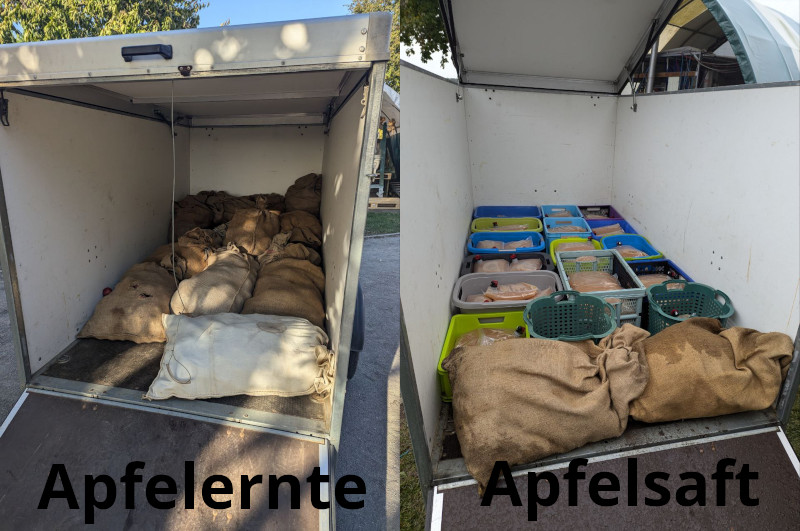 Apfelernte und Apfelsaft 2024