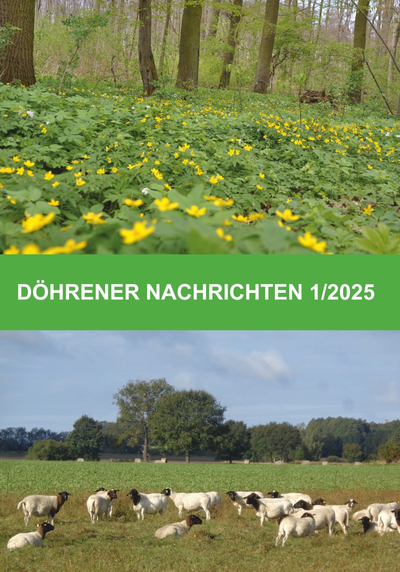 Heftcover der Döhrener Nachrichten 01/2025 
