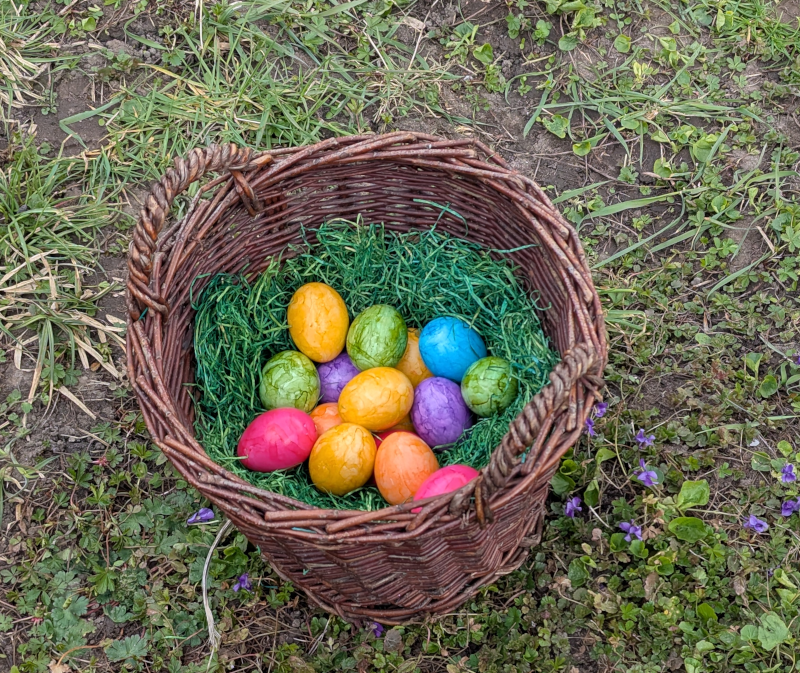 Osterkorb mit bunten Eiern